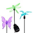 0017 Oxyled Solar Garden Lights 6952848683461