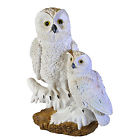 1470749 Solar Power Snowy Owl 683121470749