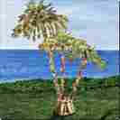 1588-06247-1344 Unbranded 3 Branch Pre Lit
