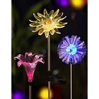 20473 Set Figurine Lights Of Led Color Changing Solar 605760654755