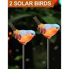 21211n Bright Zeal Set Led Bird Figurines Color Changing Solar Stake