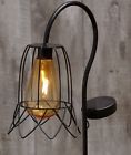 3110190 Afoyft Flower Solar Cage Stake Light With Edison Bulb Yard