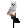 31255 Collections Etc White Owl Solar Garden Stake By 842022146430