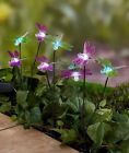 3201459 Afoyft Dragonfly Solar Light Garden Stake Set Yard Lawn Art