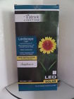 Fcsl-100 3430554 Patriot Lighting Sunflower Crackle Ball Solar Path Light
