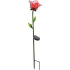 3tzrvxsyik General Painted Glass Flower