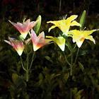 3udkfnunvg General Yunlights Solar Garden Lights Outdoor Lily Flower Yard Decor
