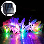 4151942xe6uq6256 Unbranded Solar Powered Butterfly Fairy String Light Lamp 727629076673