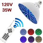 4336594031 Avomar Rgb Color Changing Swimming Pool Lights Bulb 6908528041281