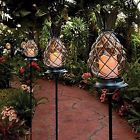 5781 Dermapad Pineapple Outdoor Lighting 641113635781