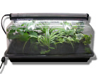 614486144532 Sunblaster Indoor Greenhouse Tray Kit Garden Seed Growth