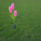 629768793247 Unbranded Solar Power Hyacinth