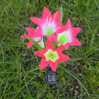 629768960762 Unbranded Solar Power Lily