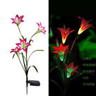 629769211900 Unbranded Solar Power Lily