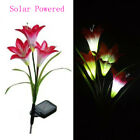 629770598045 Unbranded Solar Powered Lily Flower Light Red Led