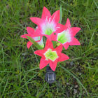 629777548982 Unbranded Pretty Led Lily Flower Light Solar Power