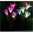 667797783235 Lovezeu Outdoor Solar Garden Lights Pack Powered Lily