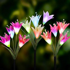 680044831213 Wdtpro Solar Garden Lights Outdoor Pack Powered Flower