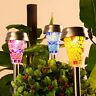 6824 Gigalumi Solar Path Lights Garden Outdoor Color Mosaic Lampshade Led