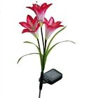 6953056404756 Assile Outdoor Solar Flowers