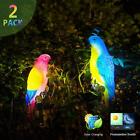 711531424288 Solar Outdoor Decoration Parrot
