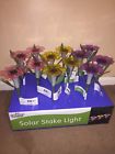 713495102622 Bright Zeall Solar Powered
