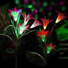 752454984268 Digiroot Packs Outdoor Waterproof Lily Flower Solar Powered