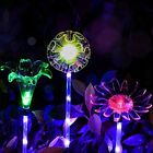 756155471997 Outdoor Solar Garden Lights Pack Powered Stake With