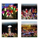 8011517861673 Ldss Solar Lights Inground Outdoor Flower Garden Multi