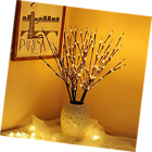 86-urvb-q9py Eambrite Brown Wrapped Lighted Twig Stake With Warm 759218811563