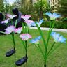 8937637785456 Unbranded New Flower Led Solar Garden Lights Waterproof