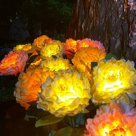 Cmskokm 706316485288 Outdoor Solar Garden Light Yard Decor Flower Lamp D