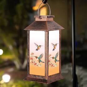 D-dl301 Doogarden Solar Lantern Outdoor Waterproof Hummingbird Garden Decor Birthday Gifts For