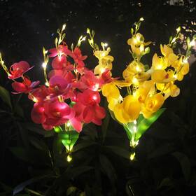 Orchid-d001 Duodean Solar Flower Lights 2 Pack Flowers With Purple And Yellow Orchids