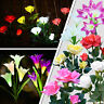 Dw9050036 Donwell Pcs Solar Power Lily Rose Flower Garden Led Night