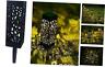 Ec23291-2 Maggift Pcs Solar Powered Led Garden Lights Automatic For Patio