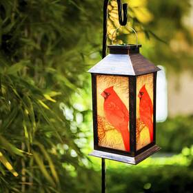 Eigreen 783971922112 Outdoor Hanging Solar Lanterns Waterproof Led Cardinal Lights Gift For Mom