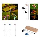 Gl09432 Zfengling Garden Solar Figurine Lights Outdoor Pack Stake 674551886064