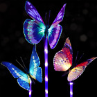 H02333 Doingart Garden Solar Lights 761560343173
