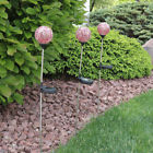 Ijf-570 Sunnydaze Decor Set Of 815008028570
