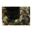 Jb1-db-e Kim Lighting Nib Bronze Junction Box Elevates Landscape Light Fixture