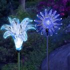 Lsk87236317 Outdoors Solar Flower Sunflower 716987236317