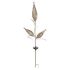 Mpp010a2aa2 Solar Brighter Corn Stakes 840623100189