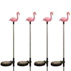 N-a Garden Sunlight 4 Pack 840002100113