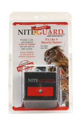 Nitn1 Nite Guard Solar The Original Light