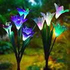 Os01 Doingart Outdoor Solar Garden Stake Lights Pack Powered 691335322228