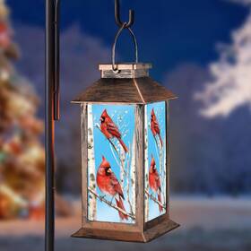Pawatee 445038630639 Solar Lanterns With Cardinal Theme Outdoor Waterproof Decorative Lights For Gard