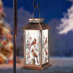 Pawatee 726084104471 Solar Lanterns With Cardinal Theme Outdoor Waterproof Decorative Lights For Gard