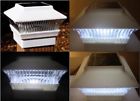 Pl244w Florals 2pc Solar Power 6920382798736