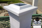 Pl252 Jc 12-pk Solar White